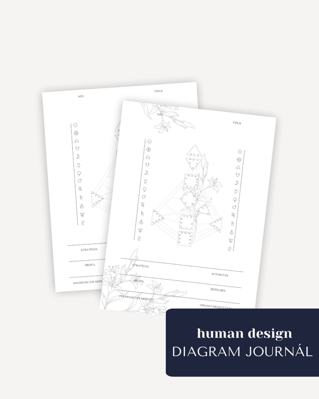 human design DIAGRAM JOURNÁL - letölthető színező ebook