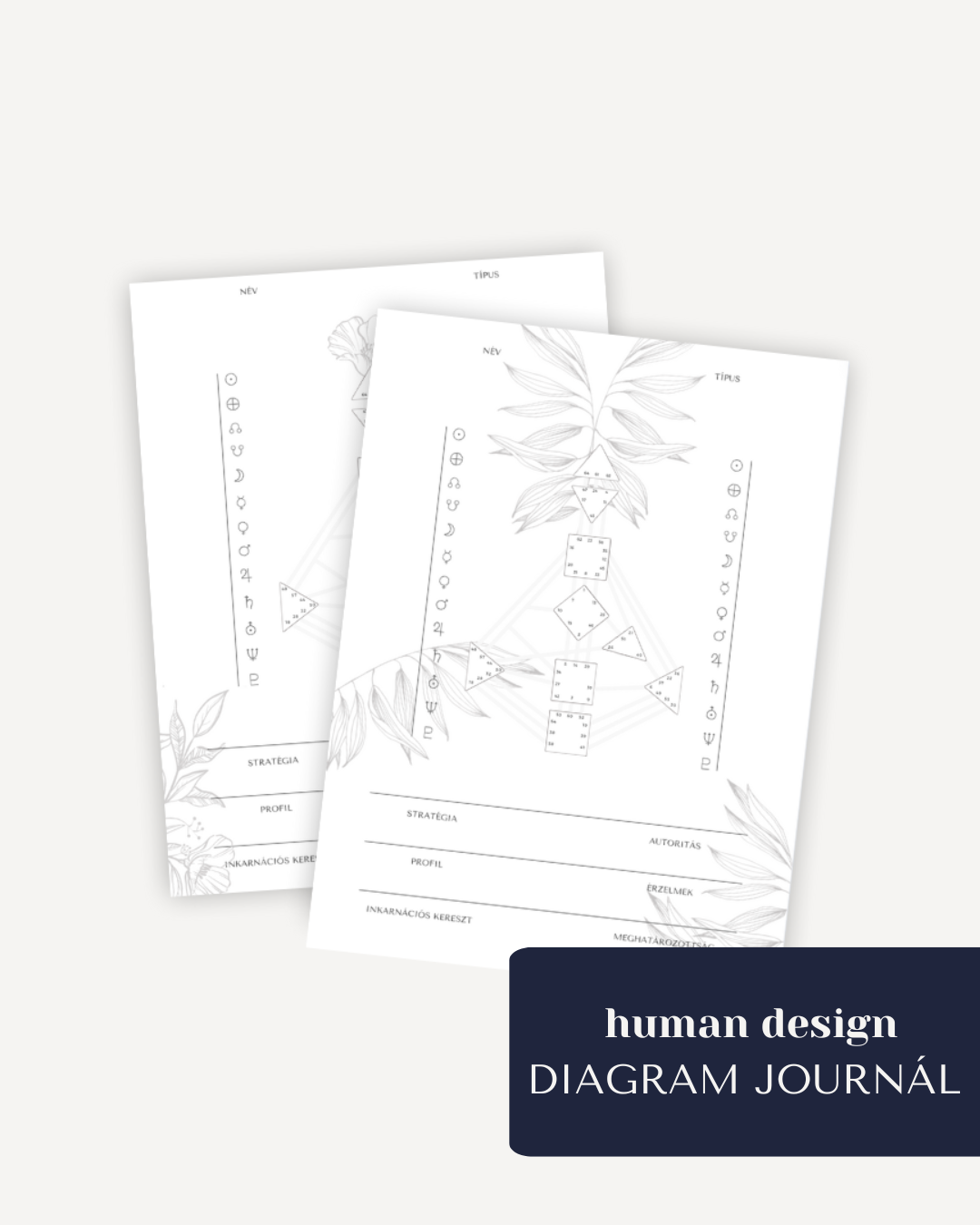 human design DIAGRAM JOURNÁL - letölthető színező ebook