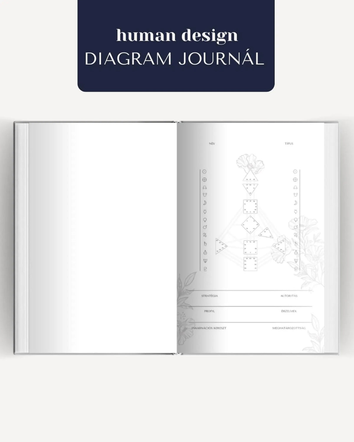 human design DIAGRAM JOURNÁL